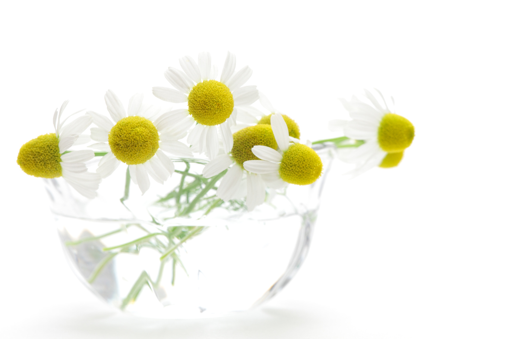 スタッフからのメッセージ